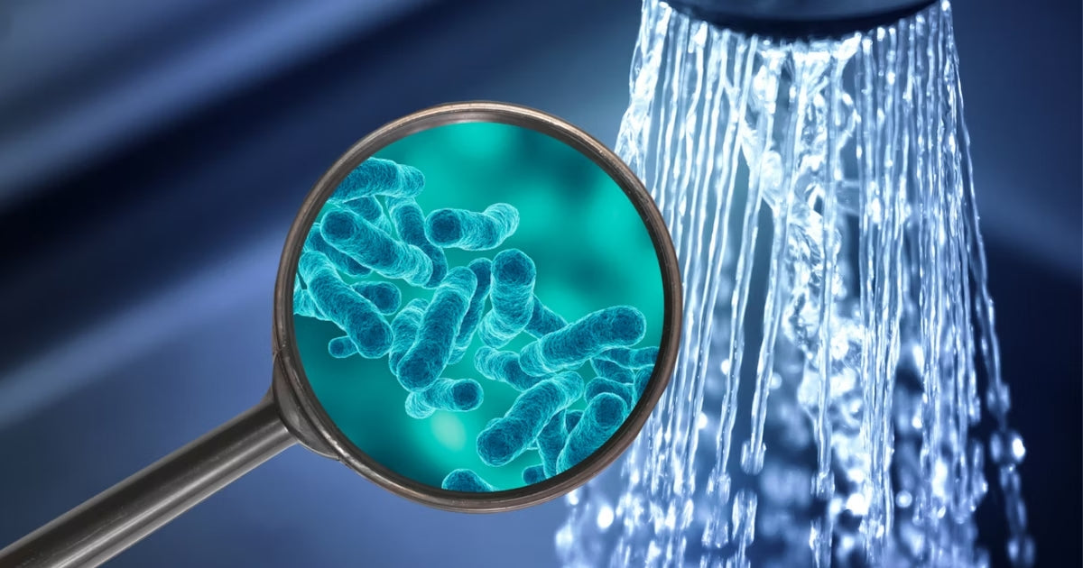 H2O Enterprise Legionella advies